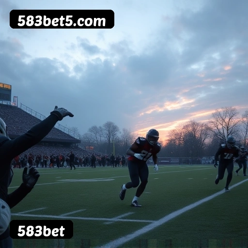 Níveis do programa VIP da 583bet